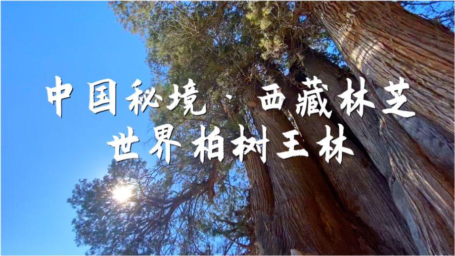 请勿打扰