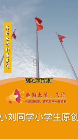 救援七星瓢虫